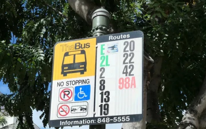 Scene From A Bus Stop